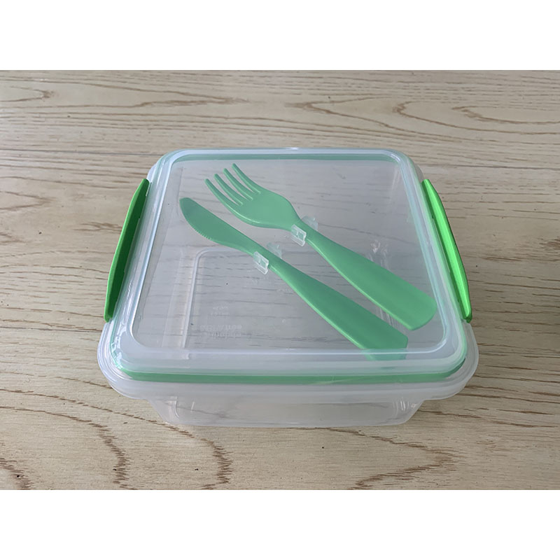 plastic lunch box mould